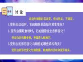 北师大版（2024）七年级生物上册2.2.2细胞是生命活动的单位精品课件