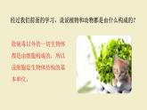 北师大版（2024）七年级生物上册2.2.2细胞是生命活动的单位精品ppt课件