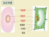 北师大版（2024）七年级生物上册2.2.2细胞是生命活动的单位精品ppt课件
