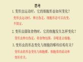 北师大版（2024）七年级生物上册2.2.2细胞是生命活动的单位精品ppt课件