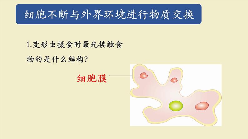 北师大版（2024）七年级生物上册2.2.2细胞是生命活动的单位精品ppt课件第7页