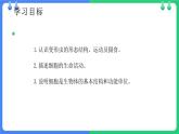 北师大版（2024）七年级生物上册2.2.2细胞是生命活动的单位ppt课件