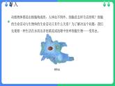 北师大版（2024）七年级生物上册2.2.2细胞是生命活动的单位ppt课件