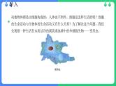 北师大版（2024）七年级生物上册2.2.2细胞是生命活动的单位ppt课件