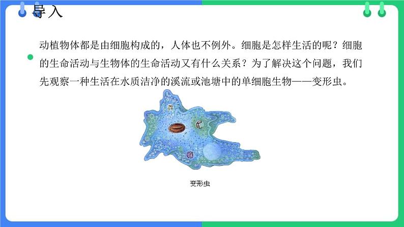 北师大版（2024）七年级生物上册2.2.2细胞是生命活动的单位ppt课件第3页