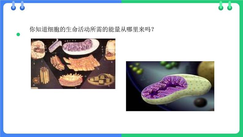 北师大版（2024）七年级生物上册2.2.2细胞是生命活动的单位ppt课件第4页