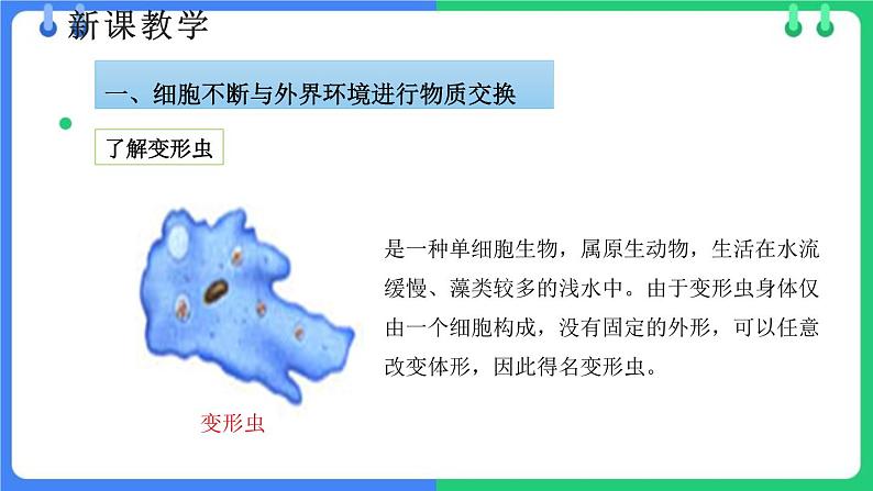 北师大版（2024）七年级生物上册2.2.2细胞是生命活动的单位ppt课件第5页