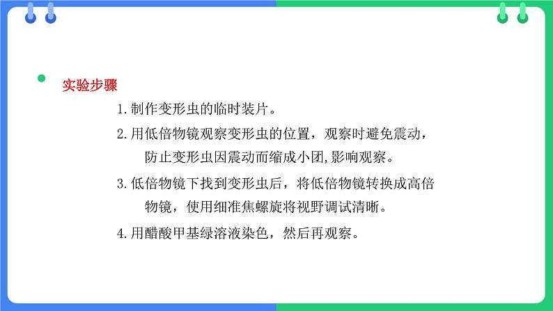 北师大版（2024）七年级生物上册2.2.2细胞是生命活动的单位ppt课件第8页