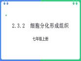 北师大版（2024）七年级生物上册2.3.2细胞分化形成组织精品ppt课件