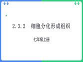北师大版（2024）七年级生物上册2.3.2细胞分化形成组织精品ppt课件