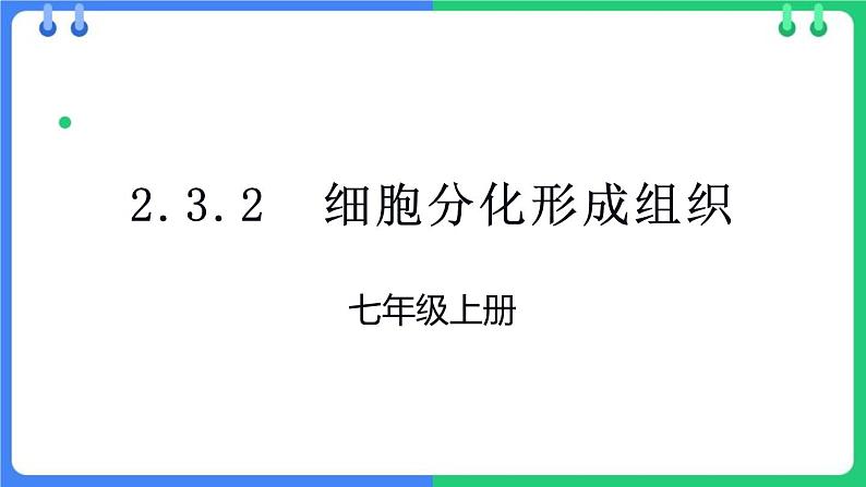 北师大版（2024）七年级生物上册2.3.2细胞分化形成组织精品ppt课件第1页