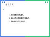 北师大版（2024）七年级生物上册2.3.2细胞分化形成组织精品ppt课件