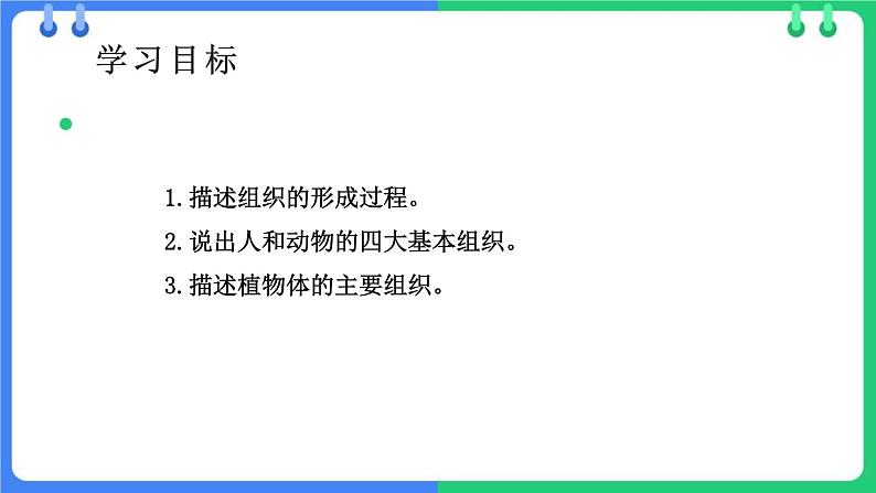 北师大版（2024）七年级生物上册2.3.2细胞分化形成组织精品ppt课件第2页