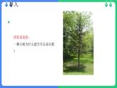 北师大版（2024）七年级生物上册2.3.2细胞分化形成组织精品ppt课件
