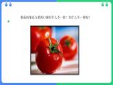 北师大版（2024）七年级生物上册2.3.2细胞分化形成组织精品ppt课件