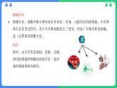 北师大版（2024）七年级生物上册2.3.2细胞分化形成组织精品ppt课件