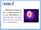 北师大版（2024）七年级生物上册2.3.2细胞分化形成组织ppt精品课件