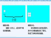 北师大版（2024）七年级生物上册2.3.2细胞分化形成组织ppt精品课件
