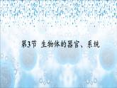 北師大版（2024）七年級(jí)生物上冊(cè)2.3.3生物體的器官、系統(tǒng)精品課件