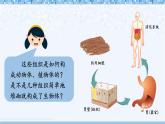 北師大版（2024）七年級(jí)生物上冊(cè)2.3.3生物體的器官、系統(tǒng)精品課件