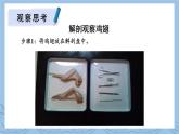 北師大版（2024）七年級(jí)生物上冊(cè)2.3.3生物體的器官、系統(tǒng)精品課件