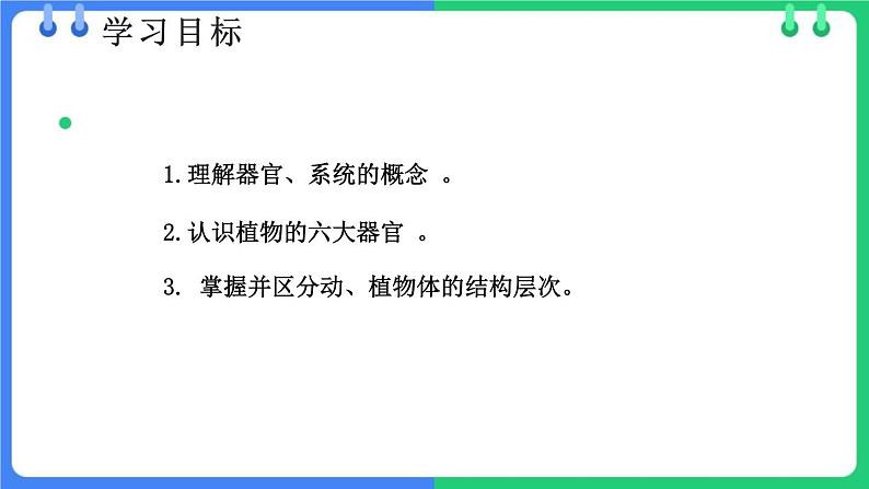 北师大版（2024）七年级生物上册2.3.3生物体的器官、系统ppt精品课件第2页