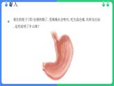 北師大版（2024）七年級(jí)生物上冊(cè)2.3.3生物體的器官、系統(tǒng)ppt精品課件