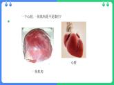 北師大版（2024）七年級(jí)生物上冊(cè)2.3.3生物體的器官、系統(tǒng)ppt精品課件