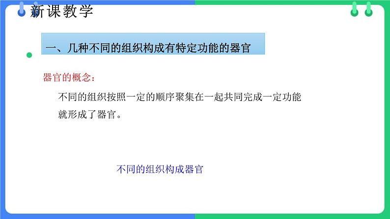 北师大版（2024）七年级生物上册2.3.3生物体的器官、系统ppt精品课件第5页