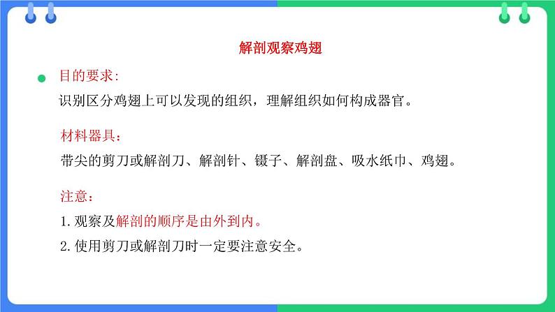 北师大版（2024）七年级生物上册2.3.3生物体的器官、系统ppt精品课件第6页