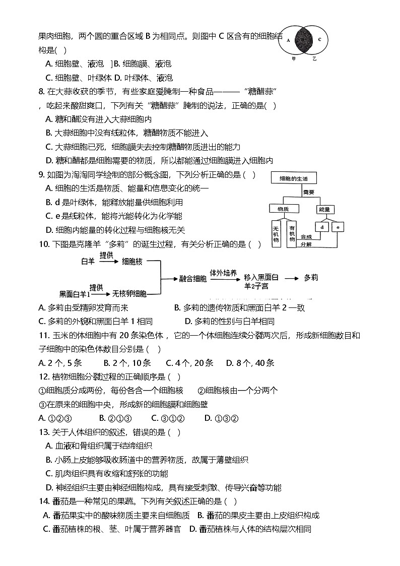 湖南省娄底市新化县2024-2025学年七年级上学期12月月考生物试题-A4第2页