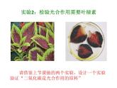 北师大版（2024）七年级生物上册3.4.1光合作用课件