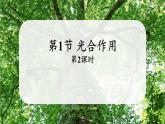 北师大版（2024）七年级生物上册3.4.1光合作用第2课时课件