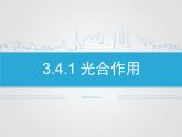 北师大版（2024）七年级生物上册3.4.1光合作用ppt课件