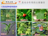 北师大版（2024）七年级生物上册3.4.1光合作用ppt课件