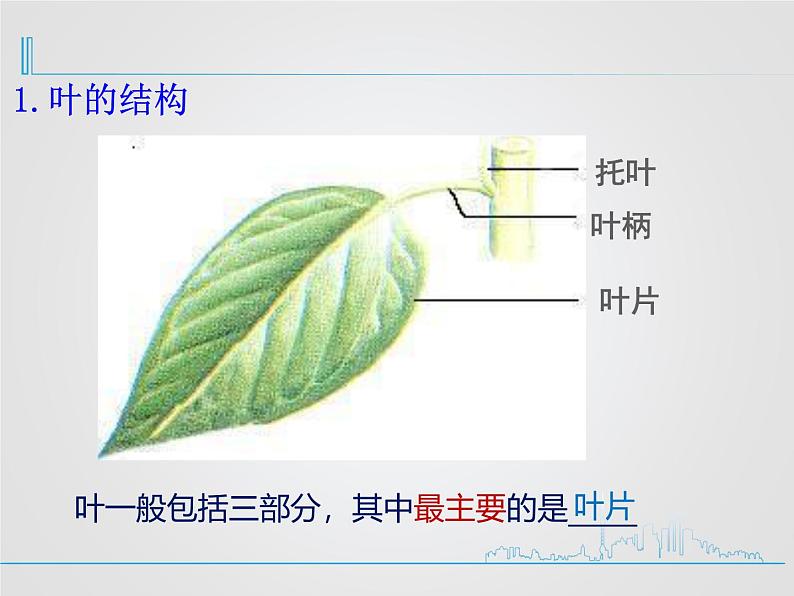 北师大版（2024）七年级生物上册3.4.1光合作用ppt课件第3页