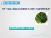 北师大版（2024）七年级生物上册3.4.1光合作用ppt课件