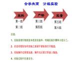 北师大版（2024）七年级生物上册3.4.2呼吸作用课件