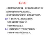 北师大版（2024）七年级生物上册3.4.2呼吸作用精品课件