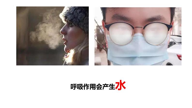 北师大版（2024）七年级生物上册3.4.2呼吸作用精品课件第8页