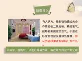 北师大版（2024）七年级生物上册3.4.2呼吸作用ppt课件