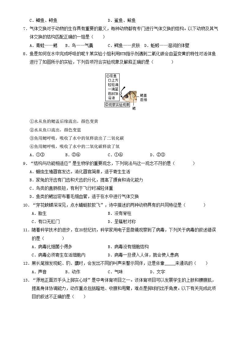 八年级生物期末模拟卷【测试范围：人教版八上+八下前3章】（考试版）-A4第2页