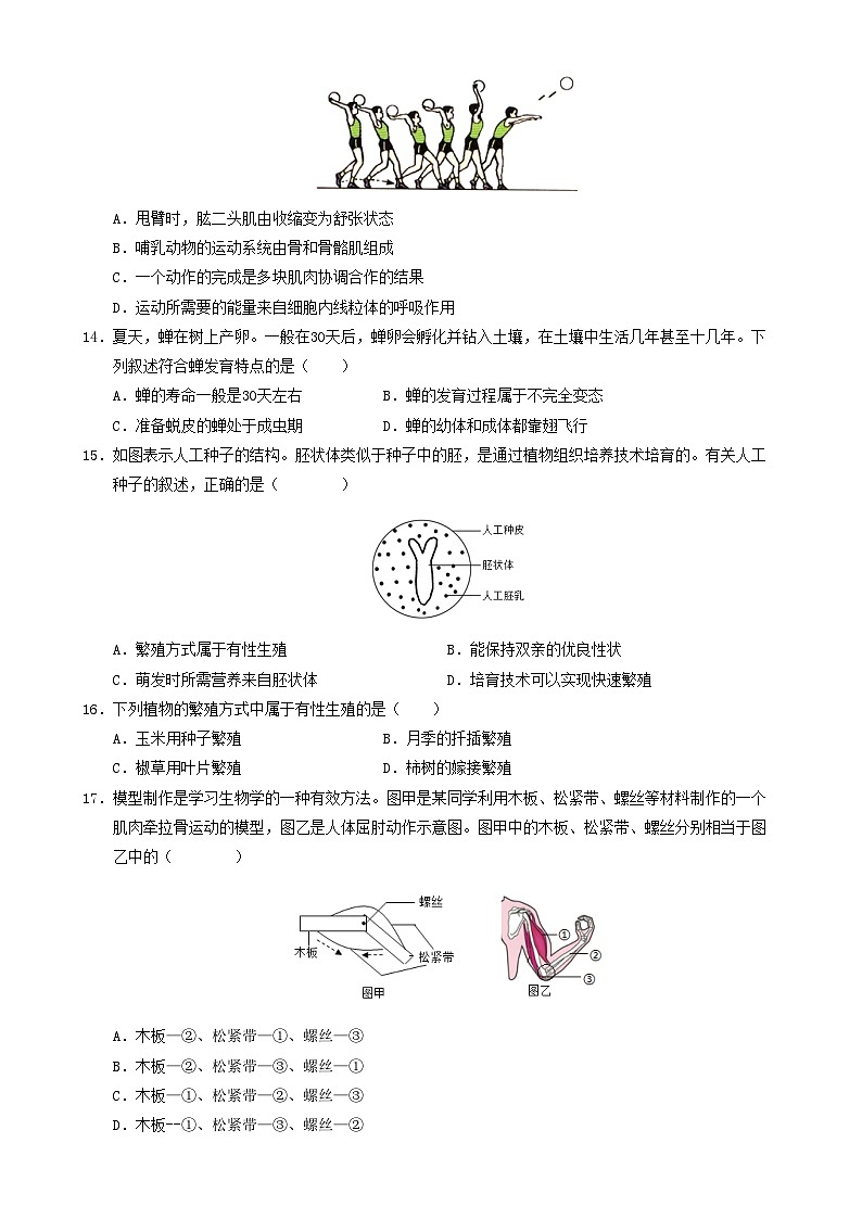 八年级生物期末模拟卷【测试范围：人教版八上+八下前3章】（考试版）-A4第3页
