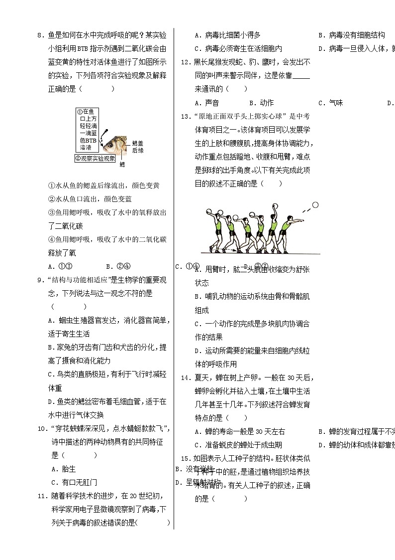 八年级生物期末模拟卷【测试范围：人教版八上+八下前3章】（考试版A3）-A4第2页