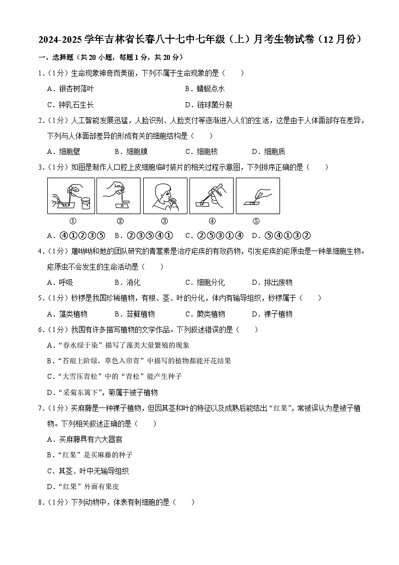 吉林省长春市第八十七中学2024-2025学年上学期七年级12月月考生物试题-A4第1页