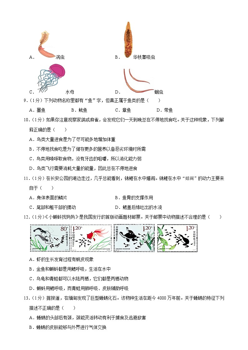 吉林省长春市第八十七中学2024-2025学年上学期七年级12月月考生物试题-A4第2页