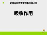 北师大版（2024）七年级生物上册3.4.3吸收作用课件