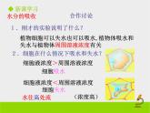 北师大版（2024）七年级生物上册3.4.3吸收作用课件