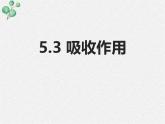 北师大版（2024）七年级生物上册3.4.3吸收作用精品ppt课件