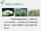北师大版（2024）七年级生物上册3.4.3吸收作用精品ppt课件